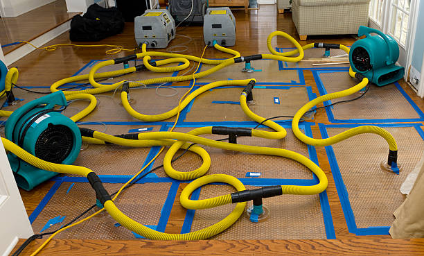 Professional Structural Drying And Dehumidification technician working in Newport, MN